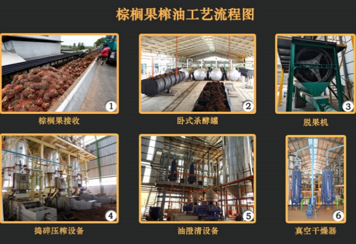 棕櫚油壓榨設備怎么選：從單臺設備到全自動產(chǎn)線，一文讀懂6種常見棕櫚油壓榨生產(chǎn)線！